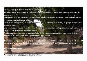 a 2023 SALUT LES AMIS
